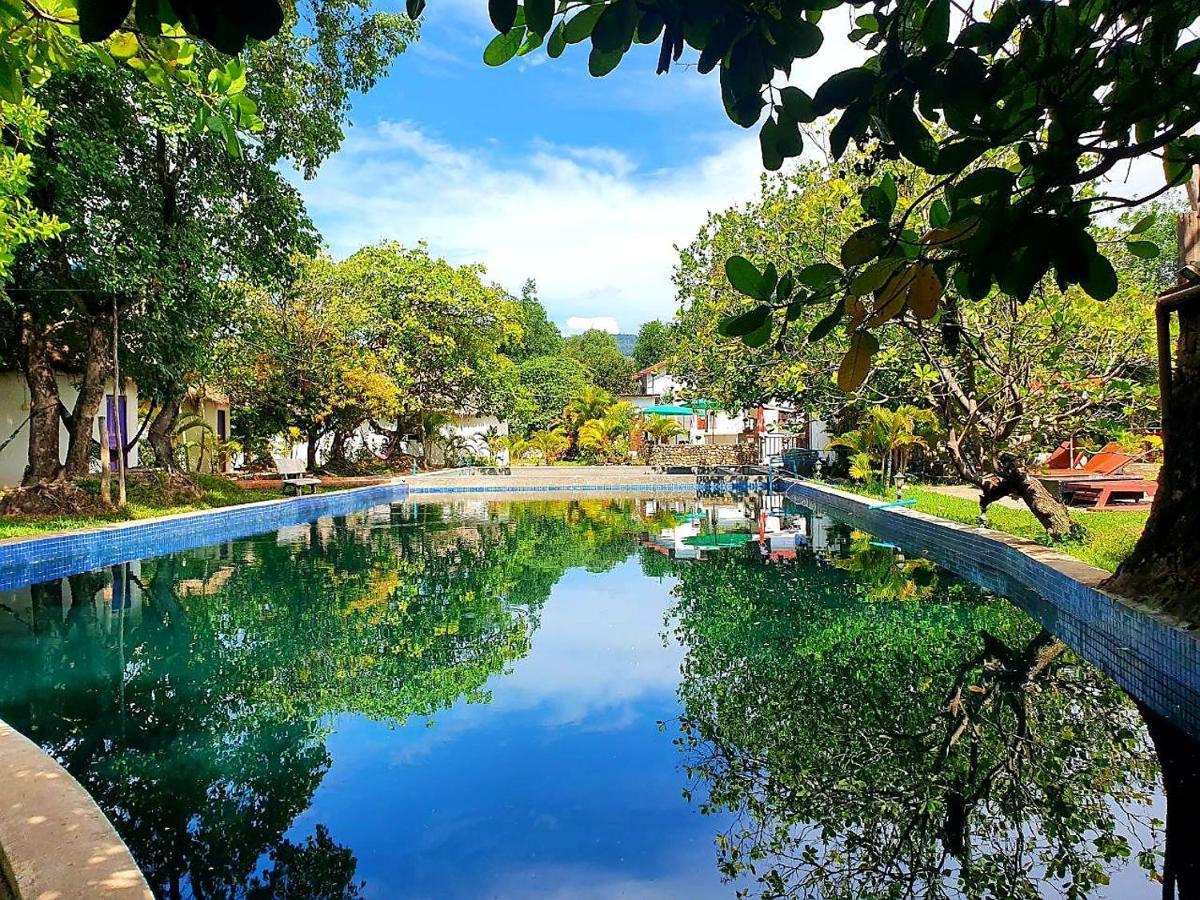 Bohemiaz Resort And Spa Kampot Exterior photo